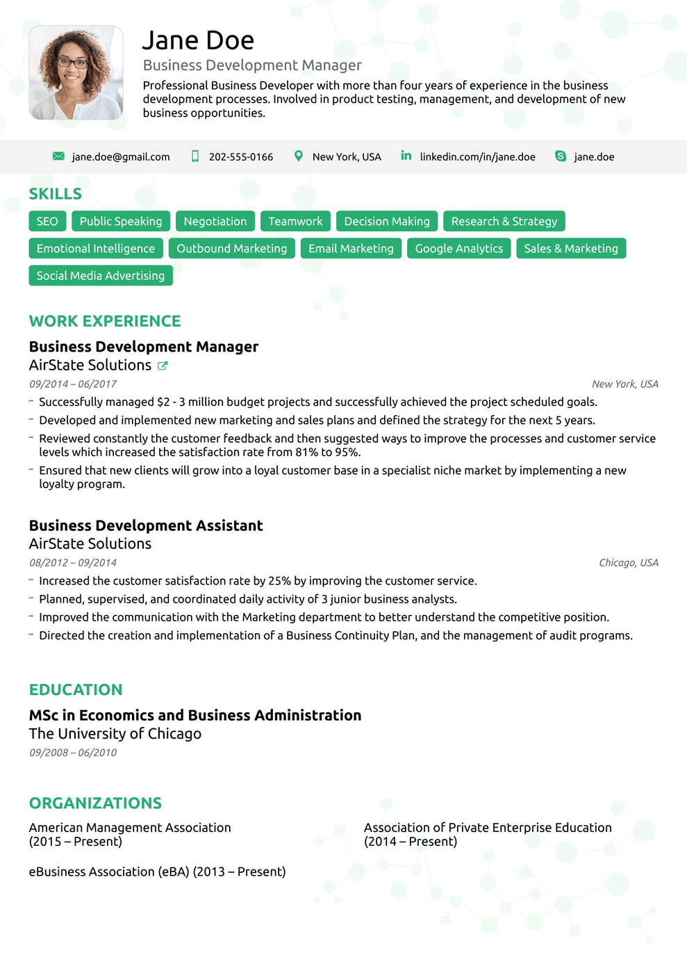 ceo resume template