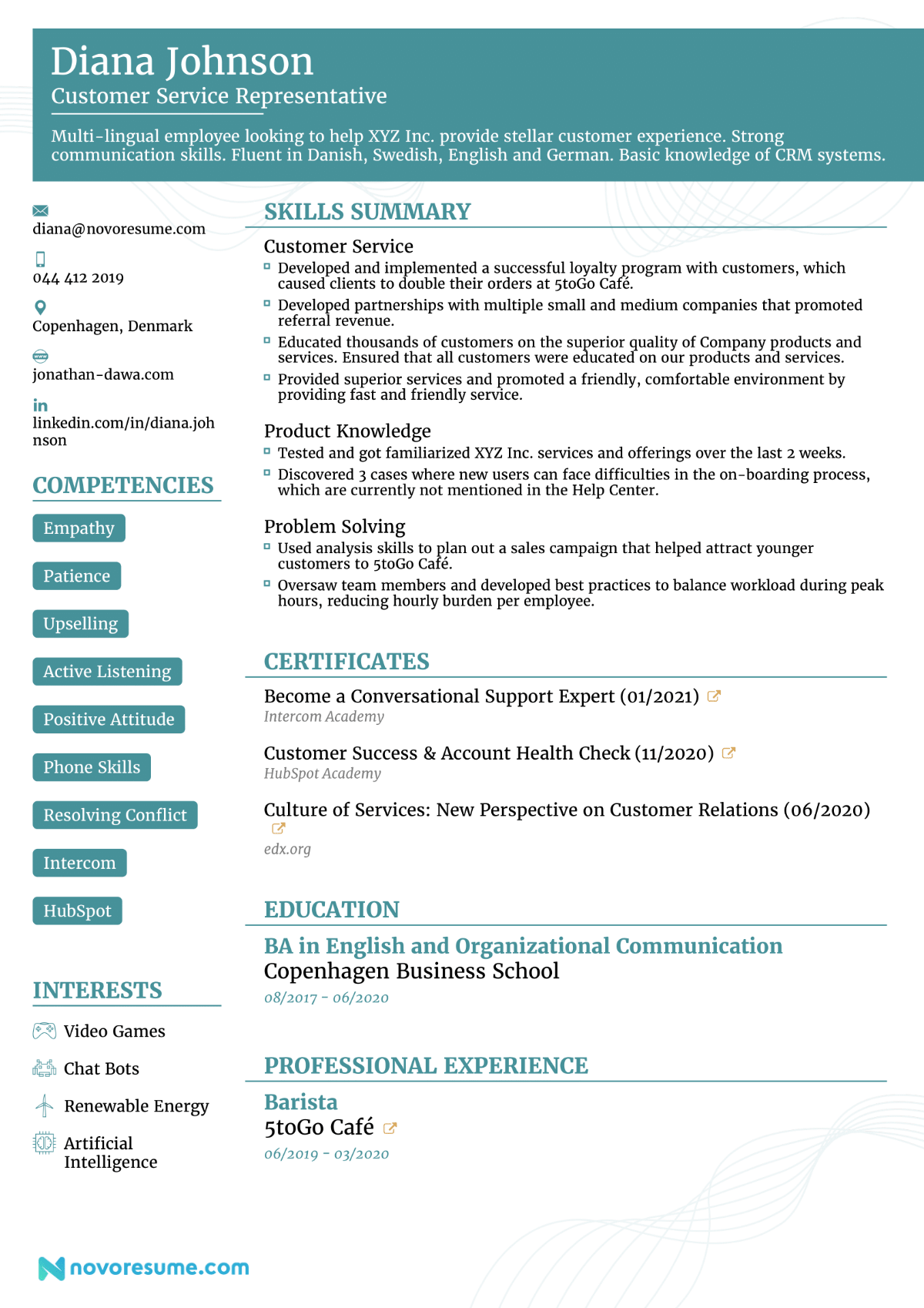 Functional CV Format