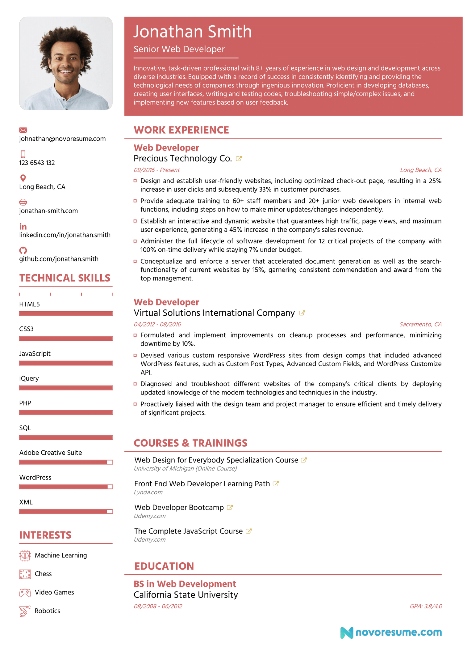 Web Developer Chronological Resume